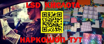 амф Сланцы