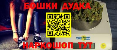 амф Сланцы