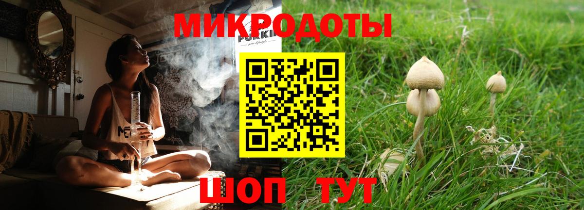 Галлюциногенные грибы мицелий Ноябрьск