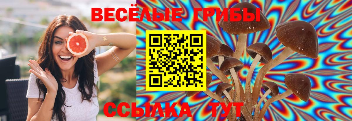 Кокаин  APVP СК   Вход с VPN  Ноябрьск  ЭКСТАЗИ  Марихуана  Гашиш  ГАШ  Мефедрон  